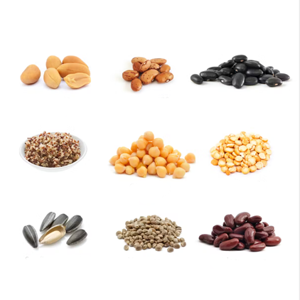 Plant and Animal Protein Supplements: Options and Benefits